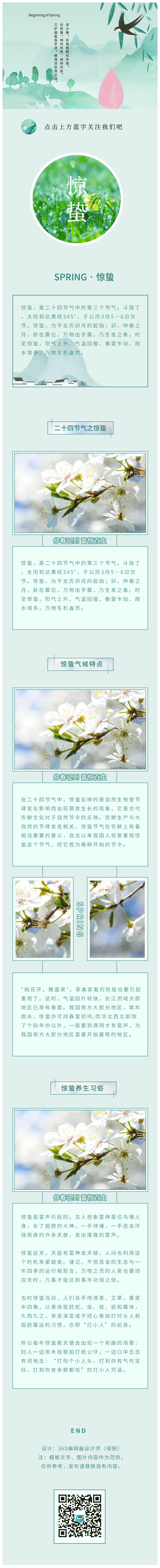 惊蛰节气春天动态绿色简约文艺植物