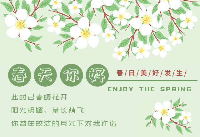 立春,二十四节气,春天,绿色,简约文艺,清新,美好,春季,传统节气,踏春,模板