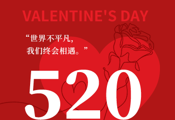 520网络情人节,情人节,告白,爱情,爱心,浪漫,红色,简约,GIF,动态模板