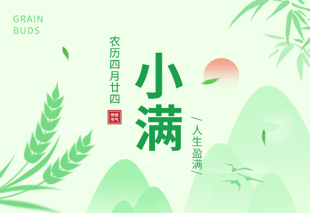 小满节气,节气习俗,二十四节气,夏季,简约,绿色,GIF,动态模板