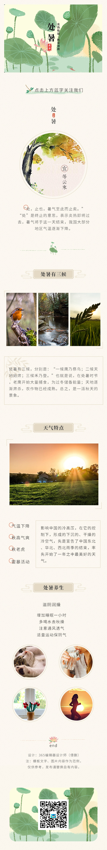 处暑节气中国风清新绿色模板