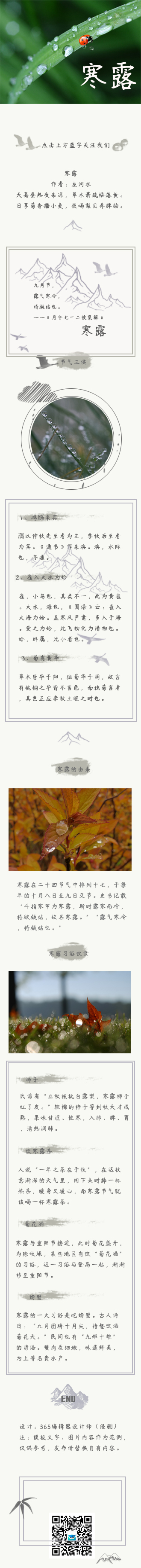 寒露传统节气迎冬防寒保暖模板