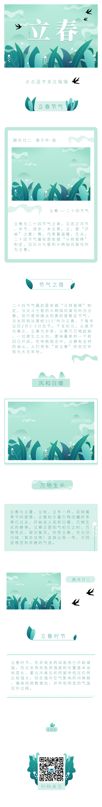 立春简约绿色模板清新广告传媒