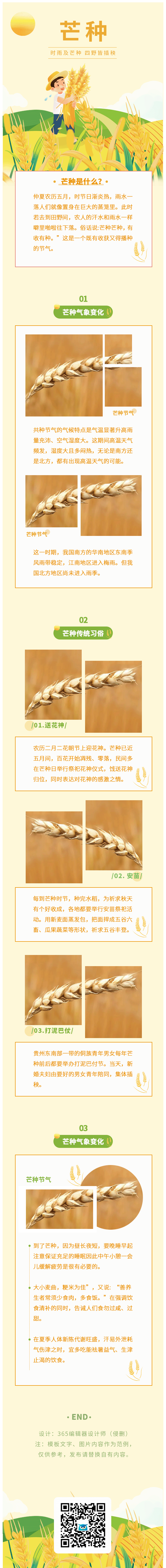 芒种二十四节气节气科普农业农耕小麦