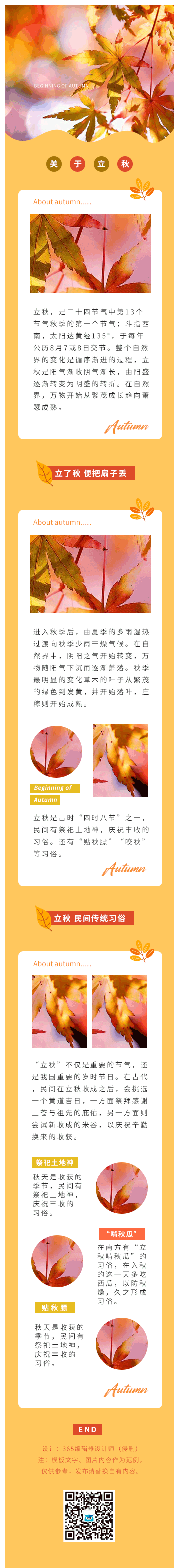立秋秋天秋分二十四节气落叶黄色
