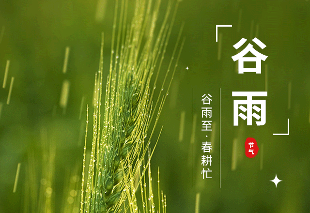 谷雨节气,节气习俗,二十四节气,古风,春季,春天,科普,绿色,GIF,动态模板