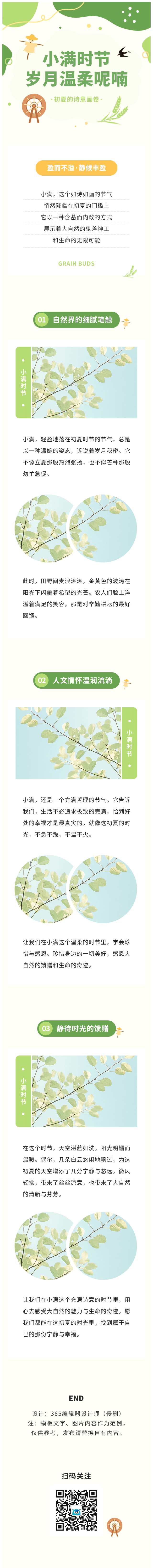 小满节气节气习俗二十四节气夏季简约绿色