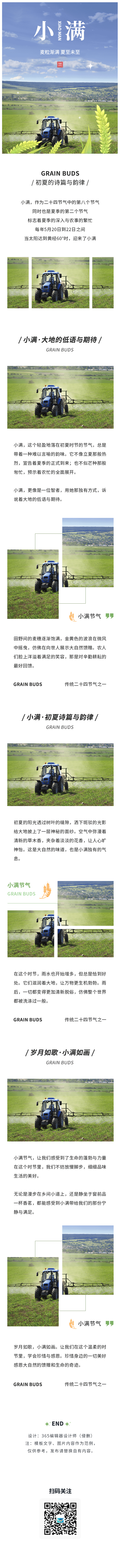 小满节气节气习俗二十四节气夏季简约绿色