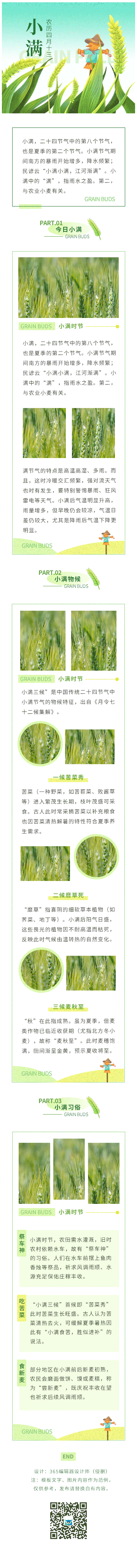 小满节气节气习俗二十四节气夏季简约绿色