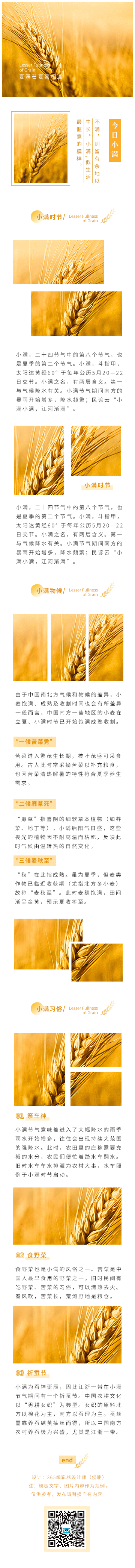 小满节气节气习俗二十四节气夏季简约黄色