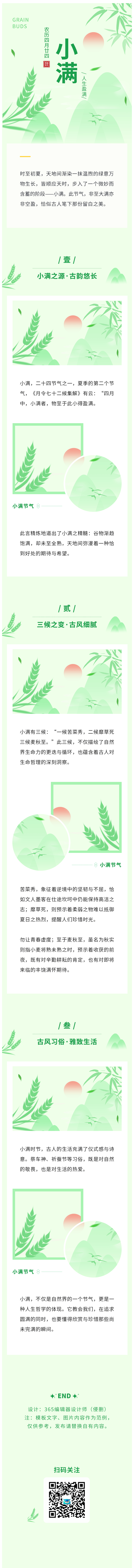 小满节气节气习俗二十四节气夏季简约绿色